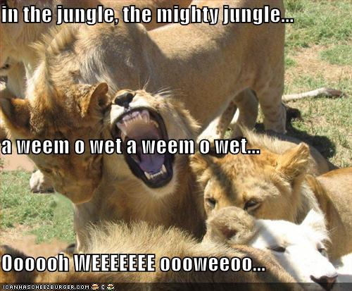 In The Jungle The Mighty Jungle A Weem O Wet A Weem O Wet