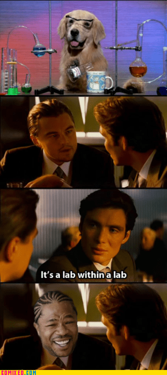 inception-meme-the-internets-xhibit-yo-dawg-5769196800