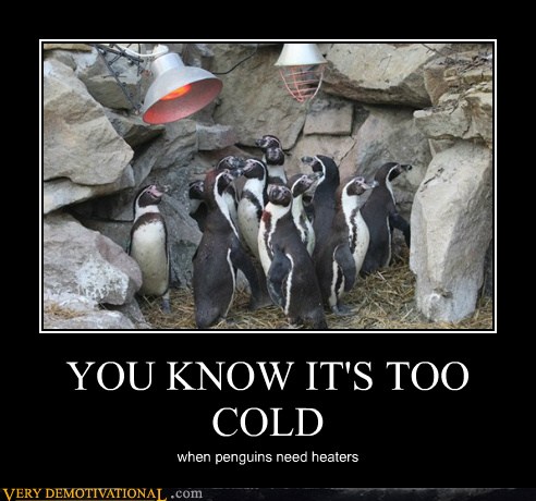 YOU KNOW IT'S TOO COLD - Very Demotivational - Demotivational Posters