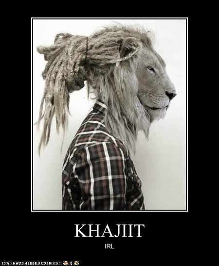 Khajiit Meme
