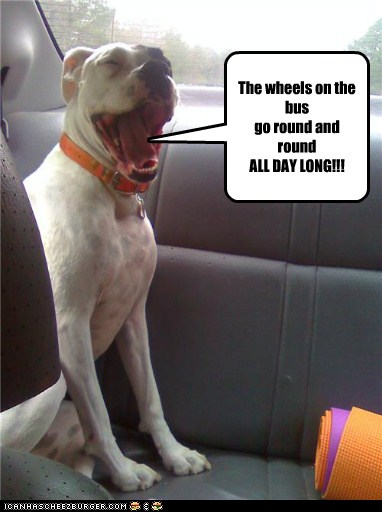 The wheels - I Has A Hotdog - Dog Pictures - Funny ...