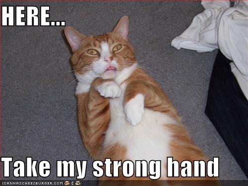 Here Take My Strong Hand Cheezburger Funny Memes Funny