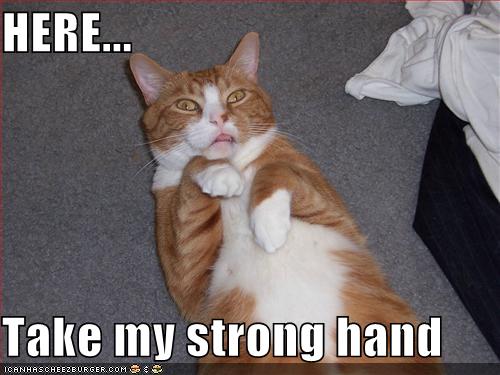Here Take My Strong Hand Cheezburger Funny Memes Funny
