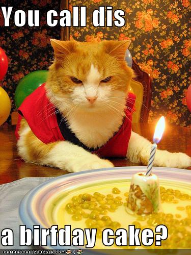 You call dis a birfday cake? - Cheezburger - Funny Memes | Funny Pictures