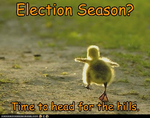 Image result for animal election