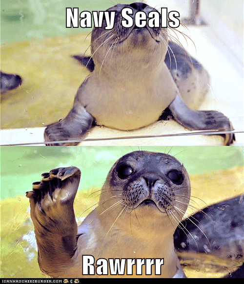 funny navy seal meme