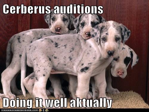 Cyoot Puppy ob teh day: Cerberus Auditions - I Has A Hotdog - Dog ...