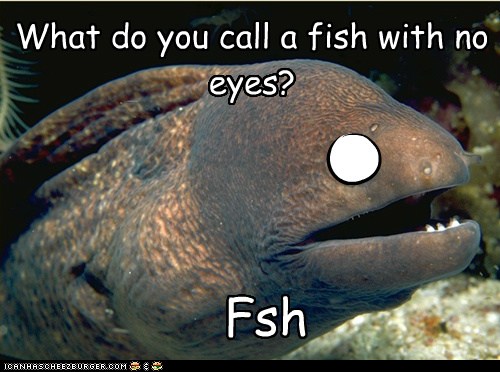 funny eel meme