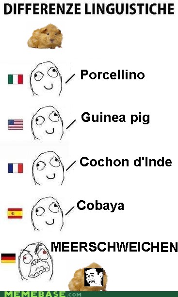 memebase-german-page-3-all-your-memes-in-our-base-funny-memes