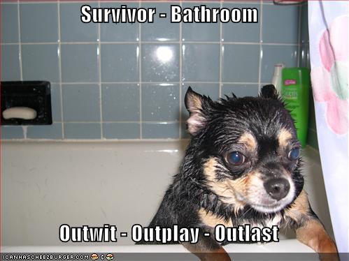 Survivor Bathroom Outwit Outplay Outlast Cheezburger Funny Memes Funny Pictures - survivor outwit outplay outlast roblox