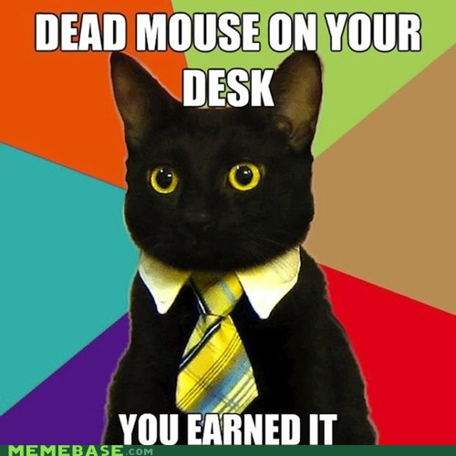 Meme Madness Business Cat Moving On Up Memebase Funny Memes 