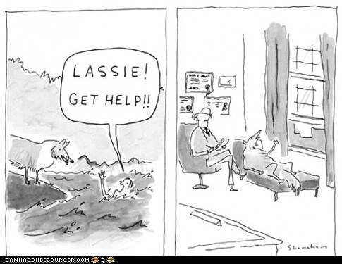 lassie get help