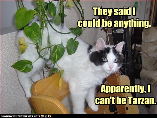 Aaa-eee-aaa-eee-ow! - Lolcats - lol | cat memes | funny cats | funny ...