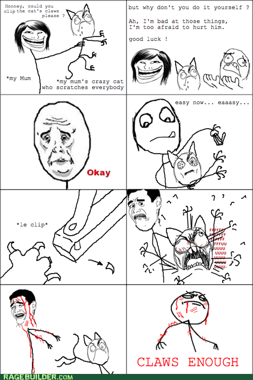 Nailed It - Rage Comics - rage comics