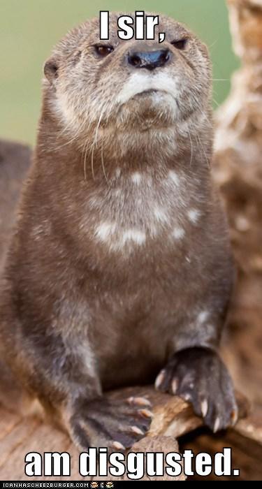 Otterly Disgusted, I am - Animal Capshunz - Funny Animals | Animal Captions