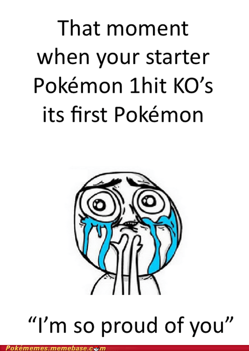 The Start of a Pokémon Champion - Pokémemes - Pokémon, Pokémon GO