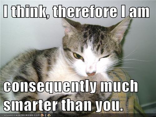 I think, therefore I am - Lolcats - lol | cat memes | funny cats ...