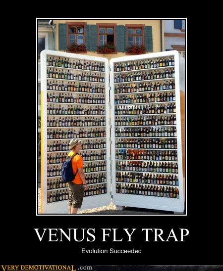 beer fly trap