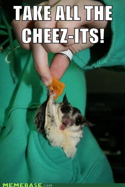 Eat ALL the Cheez-Its? - Memebase - Funny Memes
