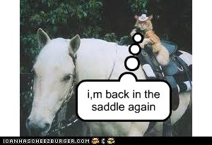 I M Back In The Saddle Again Cheezburger Funny Memes Funny Pictures