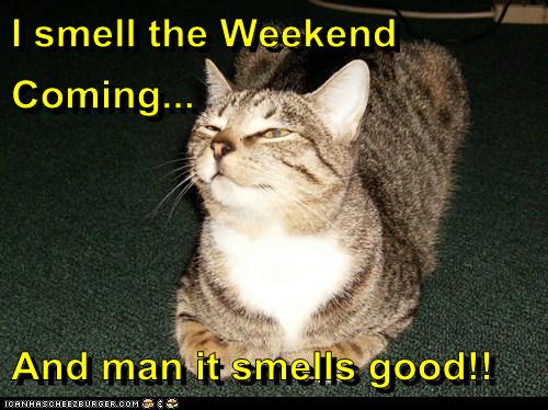 I smell the Weekend Coming... And man it smells good!! - Cheezburger