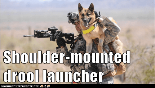 I Has A Hotdog - soldier - Funny Dog Pictures | Dog Memes | Puppy ...