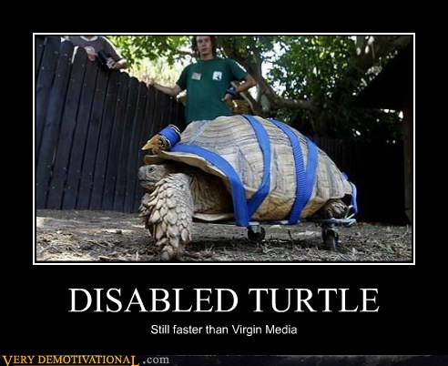 DISABLED TURTLE - Very Demotivational - Demotivational Posters | Very ...