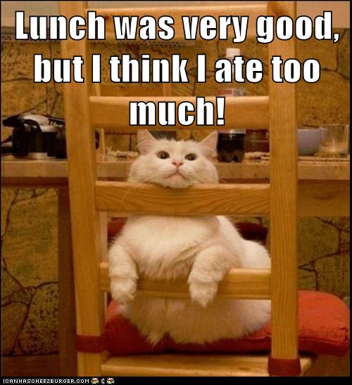Free Dating Sites >> Lunch was very good, but I think I ate too much ... Free Dating Sites >> Lunch was very good, but I think I ate too much ...