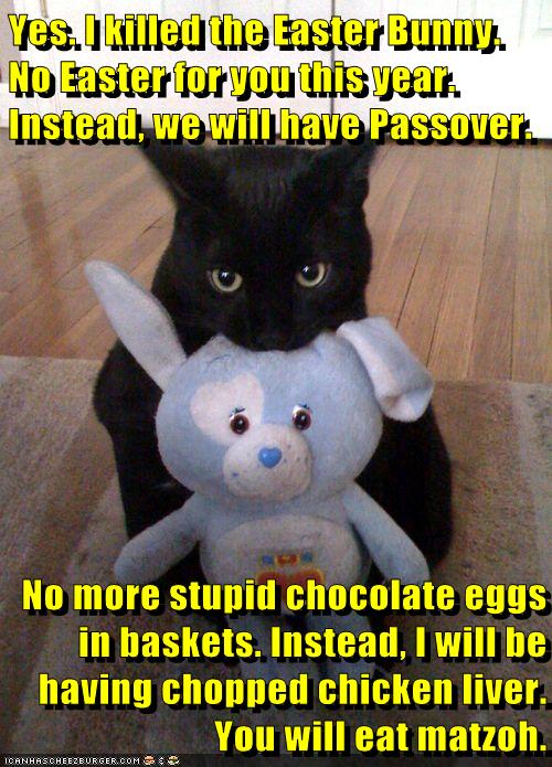 Yes. I killed the Easter Bunny. - Lolcats - lol | cat memes | funny