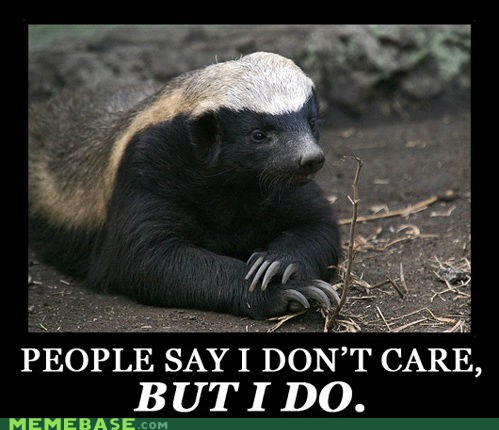 Honey Badger Meme: What is the Honey Badger Meme?