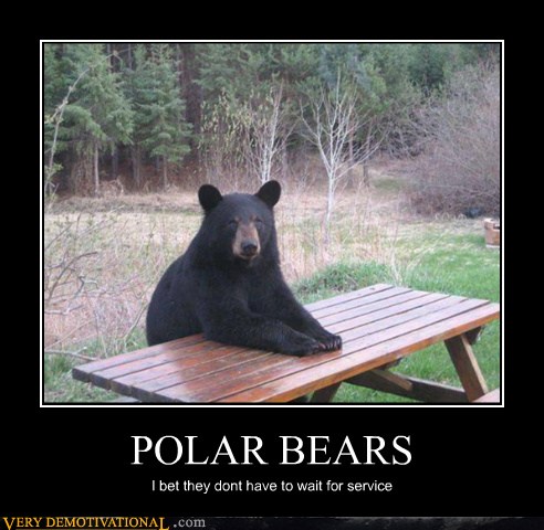 POLAR BEARS - Very Demotivational - Demotivational Posters | Very ...