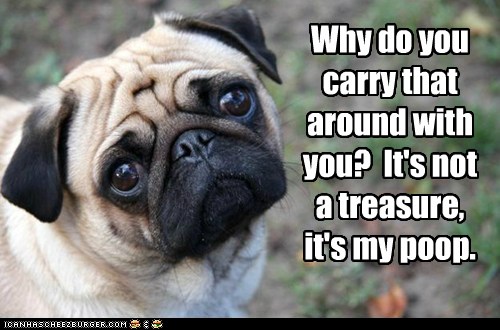 Pooper Scooper - I Has A Hotdog - Dog Pictures - Funny pictures of dogs