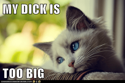 big my dick is very big