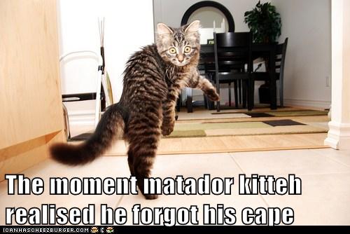 The moment matador kitteh realised - Lolcats - lol | cat memes | funny ...