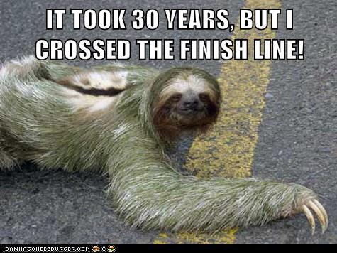 Animal Comedy - sloth - Page 4 - Animal Comedy - Animal Comedy, funny ...