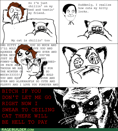 Better Get That Cat Declawed - Rage Comics - rage comics