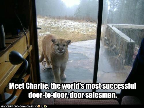 Really Drives The Point Home Animal Comedy Animal Comedy
