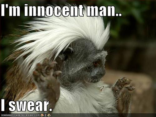 I'm innocent man.. I swear. - Cheezburger - Funny Memes | Funny Pictures