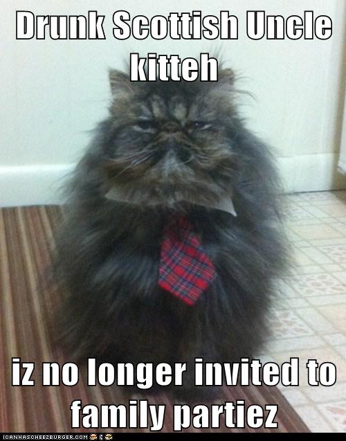 Drunk Scottish Uncle kitteh - Lolcats - lol | cat memes | funny cats