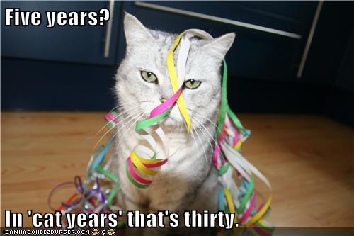 five years in cat years