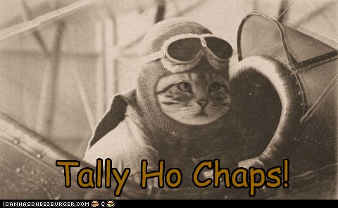  Tally  Ho  Chaps Cheezburger Funny Memes  Funny Pictures
