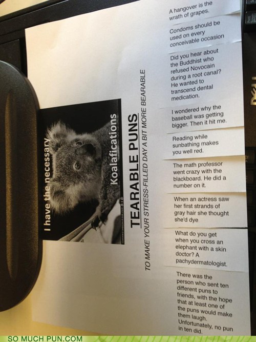 The Best of Bad Pun Worlds Puns Pun Pictures
