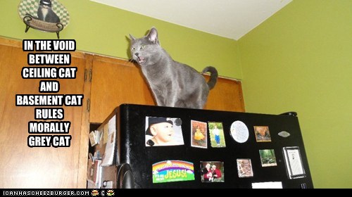 IN THE VOID BETWEEN CEILING CAT AND BASEMENT CAT RULES ...