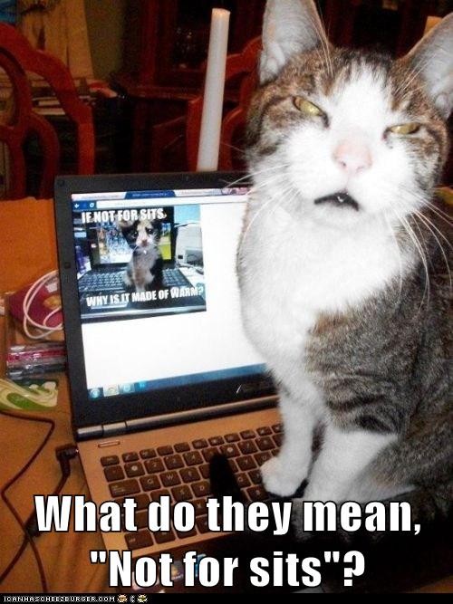 What do they mean - Lolcats - lol | cat memes | funny cats | funny cat ...