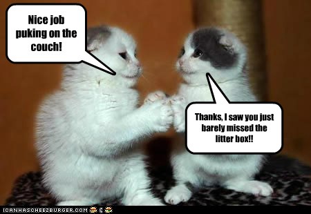 Nice Job Puking On The Couch! - Lolcats - Lol 