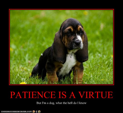 free dating sydney sites