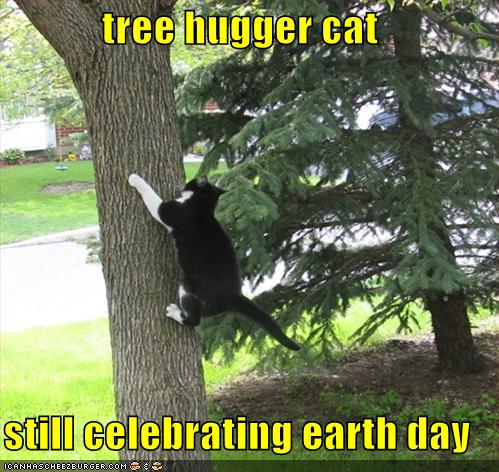 tree hugger cat still celebrating earth day - Cheezburger - Funny Memes