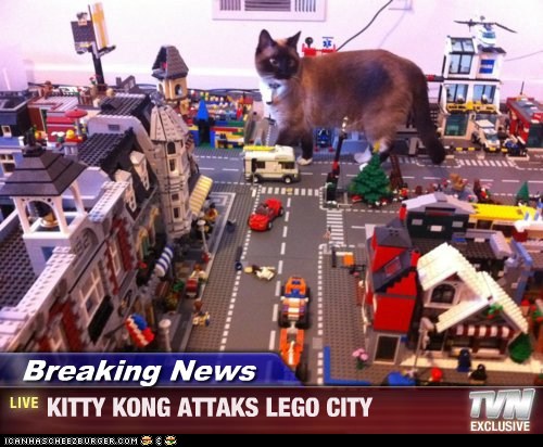 lego city cat