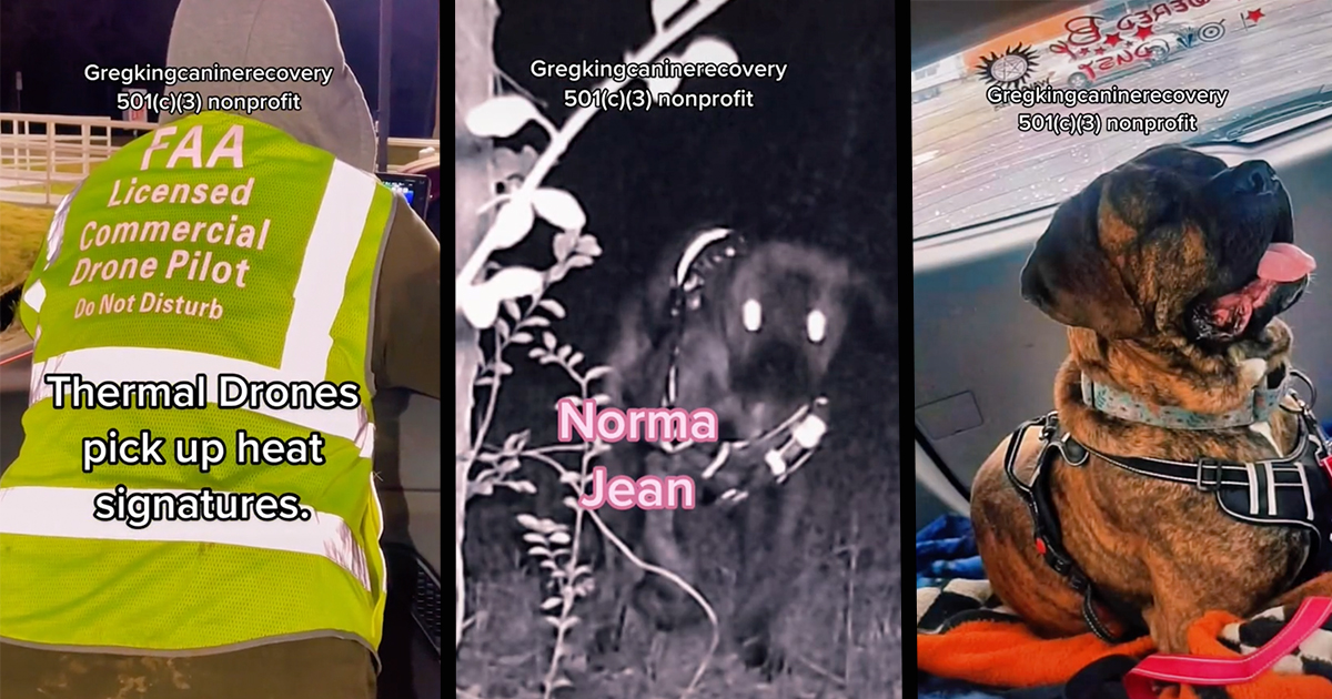 Dog Rescuer Goes Viral Showing What it's Like to Use a Drone in Search
