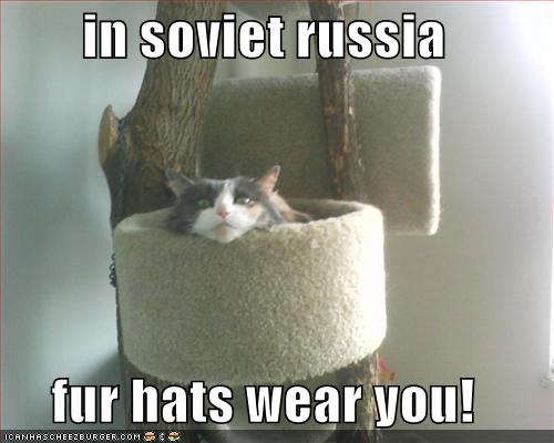 In Soviet Russia Fur Hats Wear You Cheezburger Funny Memes Funny Pictures